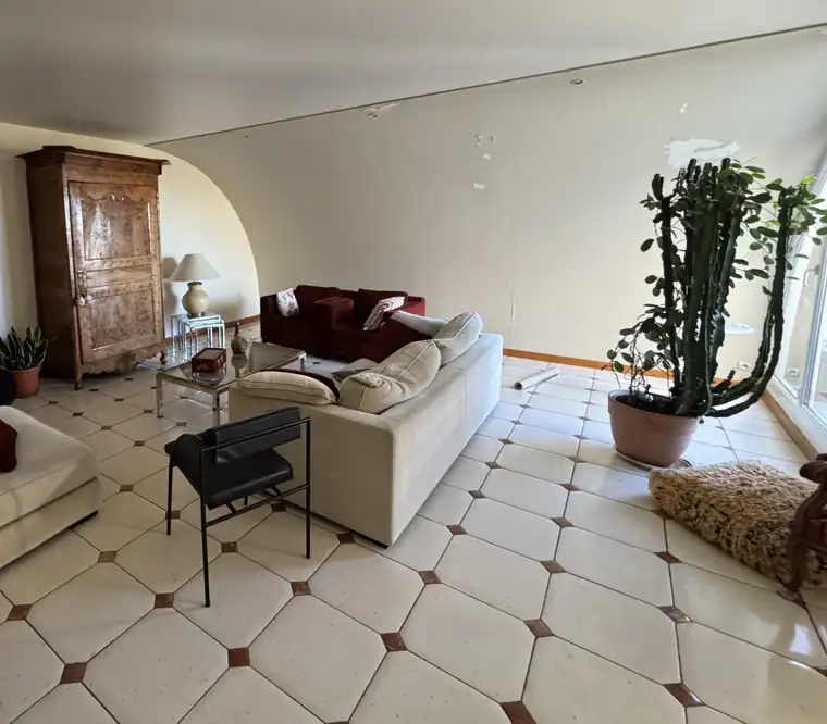Séjour meublé avant les travaux de peinture : canapés, armoire ancienne et plantes en place, enduit abîmé sur le mur du fond